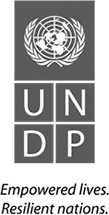 UNDP